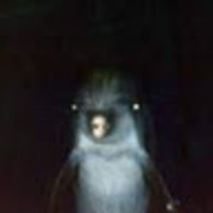 Meet your Posher, Keira